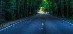 Comprendre notre chemin de vie