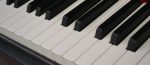 Musique/neurosciences